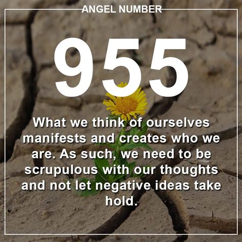 3 Secrets Why You Are Seeing 955 – The Meaning of 955